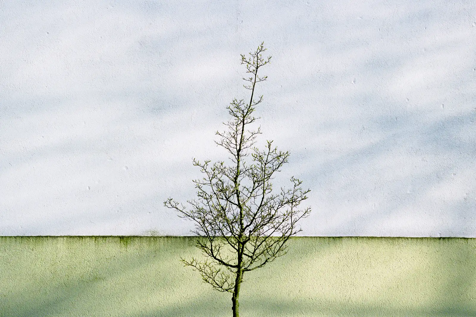 photography Silvan Soeters